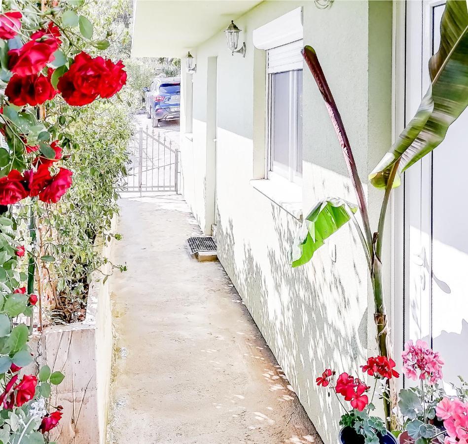 Apartments Siesta Тиват Екстериор снимка